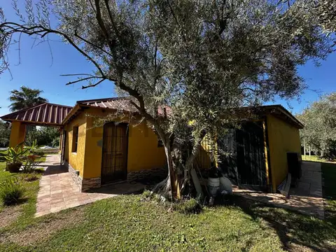 Serpa 4300, Piso 0