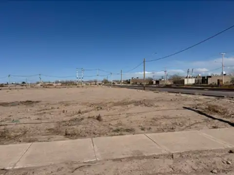 Barrio Natania 100