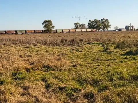 Terreno en Cañuelas