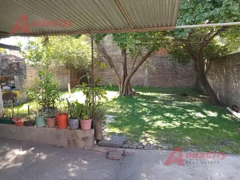 Schiaffino al 500