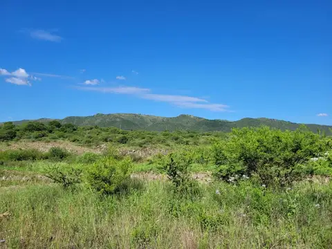 VENTA LOTE TIERRALTA 529 M2 MACROLOTE 1 INVERSION