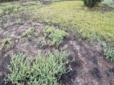 Terreno en Venta de 1000,0 m2
