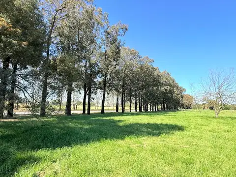 Venta Lote 1 HA Estancia La Macarena financiación