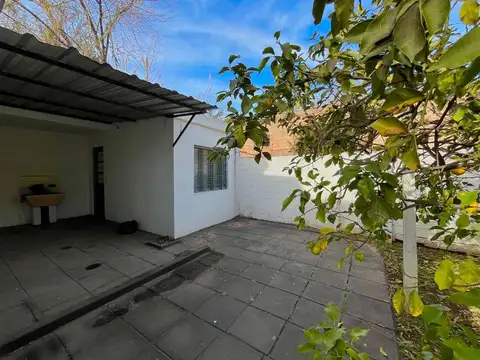 Intendente Manny 100