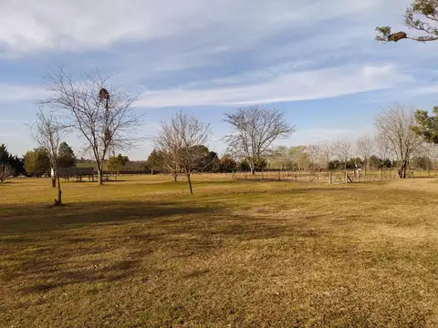 Chacra en venta en Chacras de Olivia, Lima, Zarate