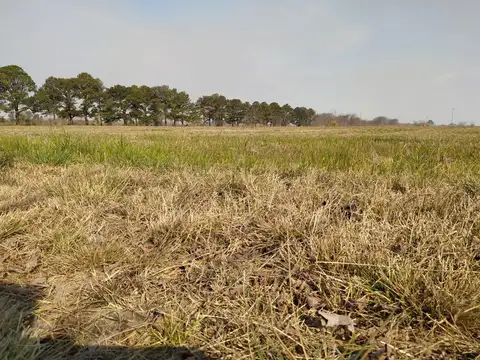 Terreno en Venta de 14863,0 m2