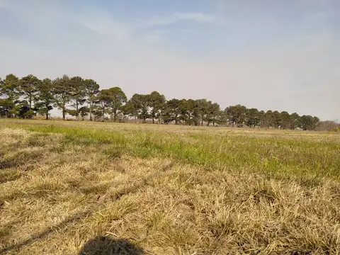 Terreno en Venta 139  mts Fondo