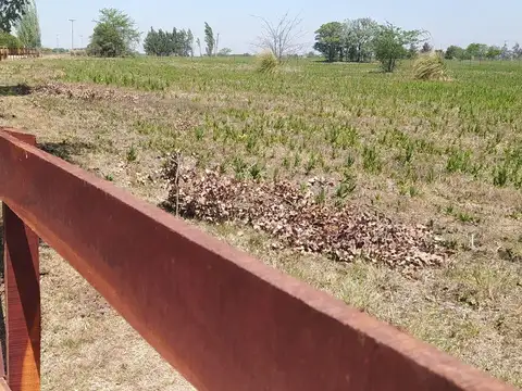 Chacra en venta en Chacras de Olivia, Lima, Zarate