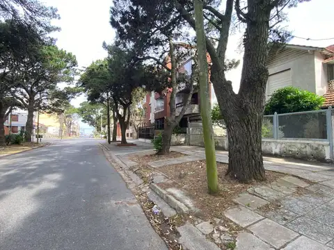 J V Gonzalez 244