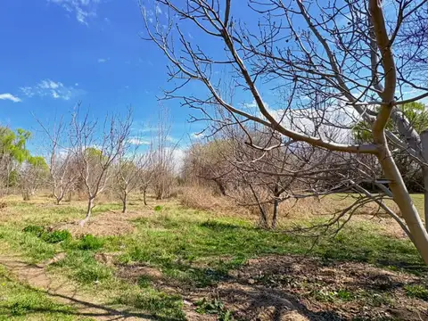 Venta Lote Tunuyán