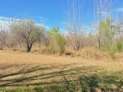 Terreno en Venta de 2000,0 m2