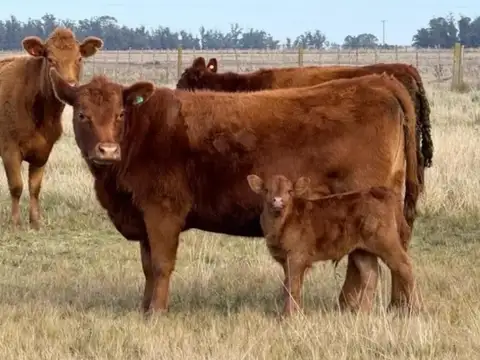 Campo en Venta en Dolores, Partido de Dolores