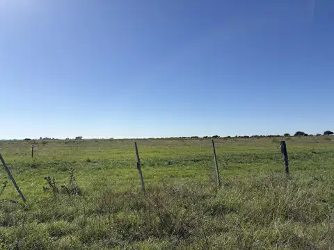 Campo en gualeguaychu