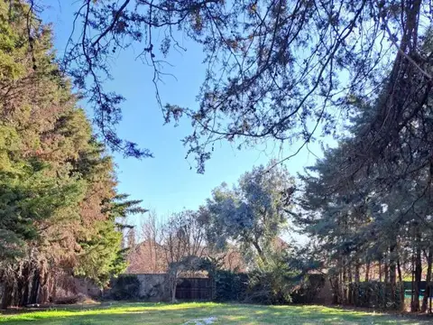 Terreno en Venta de 1000,0 m2