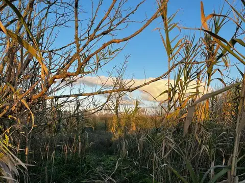 Terreno en Venta de 80000,0 m2