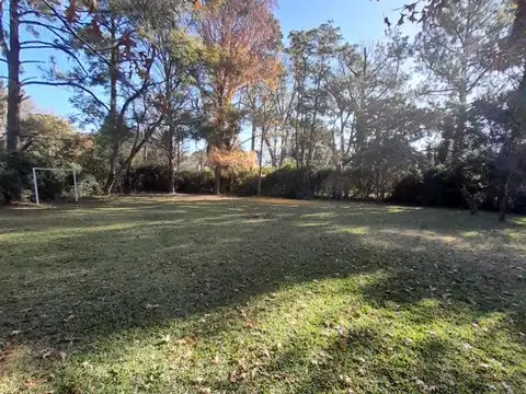 LOTE FORESTADO BARRIO LOS INDIOS