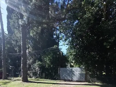 Terreno en Venta de 300,0 m2