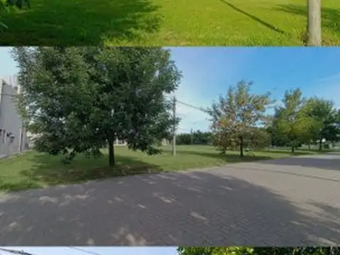 Las Tardes Norte y Crepusculo