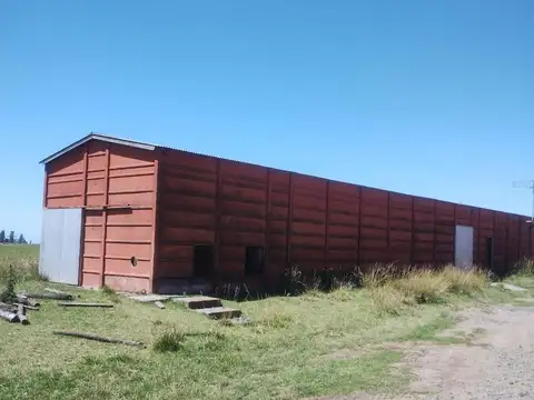 Campo en Venta - SALADILLO - 500 Ha.