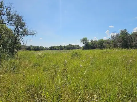 SALADILLO