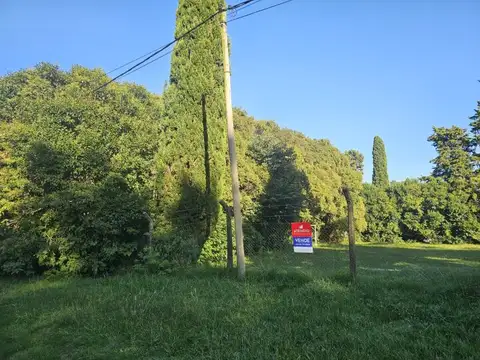 Terreno COMPLETAMENTE arbolado, 1.000 m2 en zona quintas - UNICO