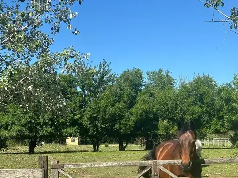 Venta Lote central y arbolado en Haras el Malacate Exaltación de la Cruz