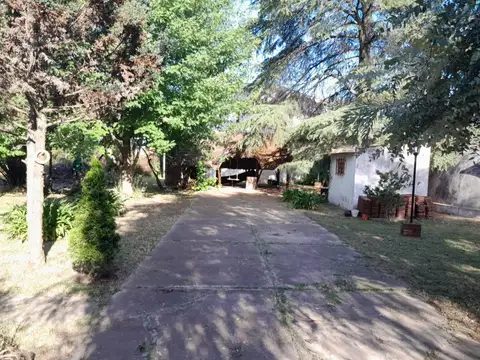 DE LA QUINTANA, JOSE A. 100