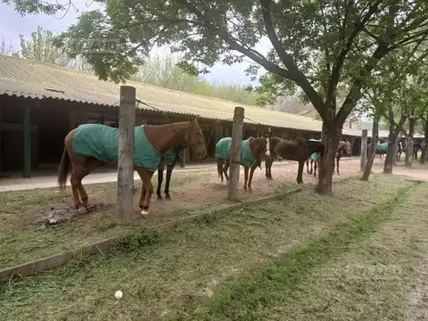 Terreno en Venta 38  mts Fondo