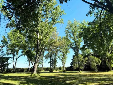Terreno en Venta 82  mts Frente