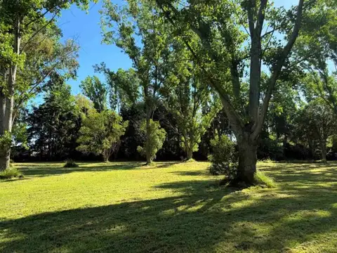 Terreno en Venta 125  mts Fondo