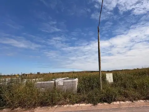 Manzana 85