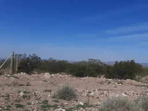 Barrio La Magdalena Olivar