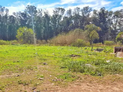 Terreno - Las Rosas
