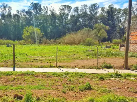 Terreno en Venta en Las Rosas, USD 39.000