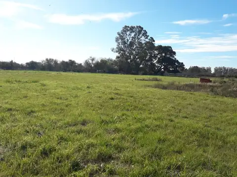 Quinta en Alquiler de 2 dormitorios