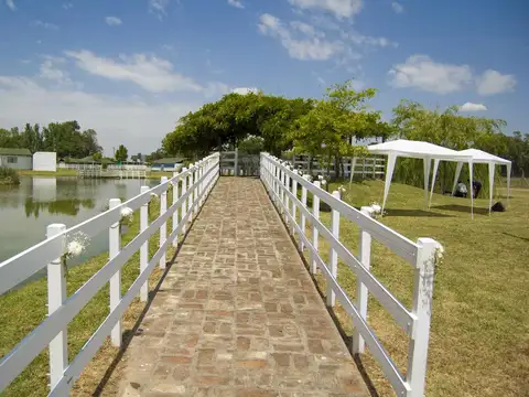 Mar del Plata al 100