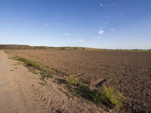 FINCA EN VENTA - LUJAN DE CUYO