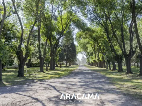 Terreno en Venta de 631,0 m2