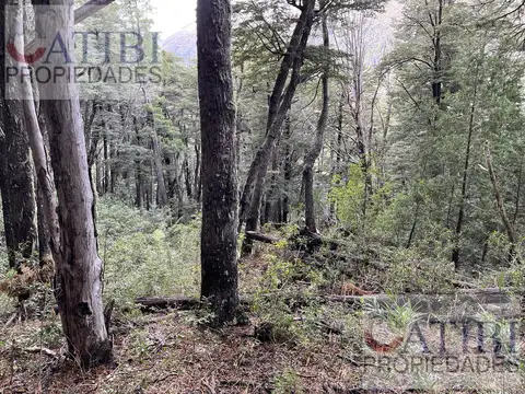 Exclusivo Terreno de 10 ha con Bosque Nativo en la Divisoria de Aguas