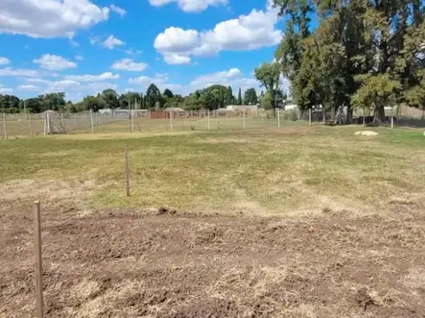 Parada Roble 2 - Lote 100