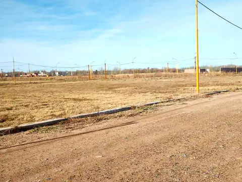 Terreno en Venta en Centenario, USD 35.000