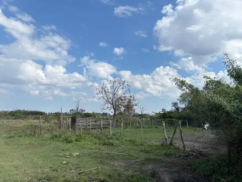 el sombrero