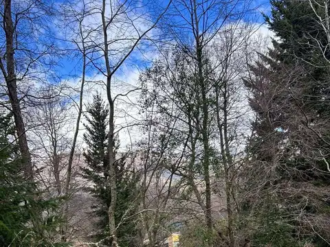 Terreno / Lote en venta de 3967.42m2 ubicado en San Martin de los Andes