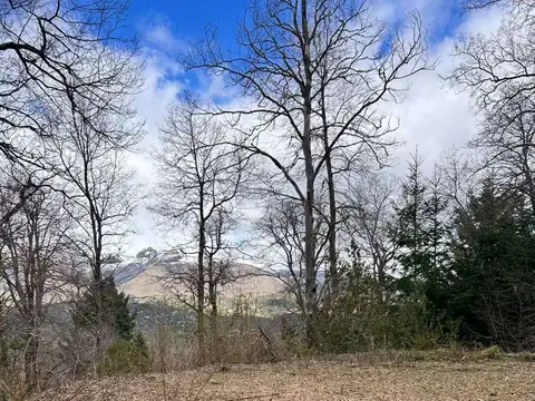 Terreno / Lote en venta de 3967.42m2 ubicado en San Martin de los Andes