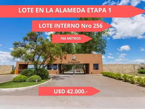 LOTE EN VENTA EN LA ALAMEDA CANNING
