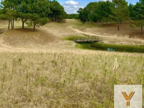 Terreno en venta - 1.189mts2 - Villa Robles, Pinamar