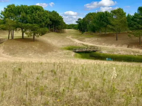 Terreno en venta - 1.189mts2 - Villa Robles, Pinamar