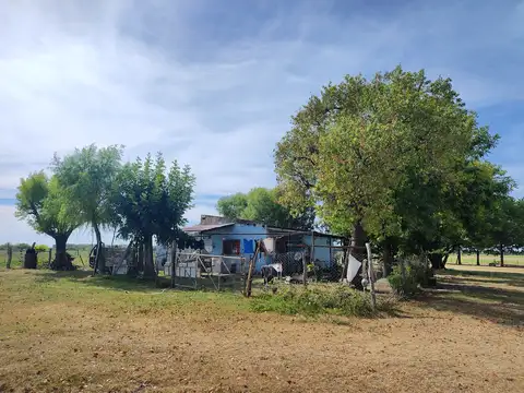 125 has Campo en venta 100% agrícola - Tambo - Venta a tranquera cerrada