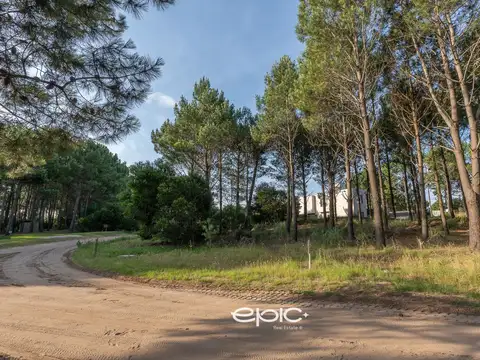 Terreno en Venta en Pinamar, USD 110.000