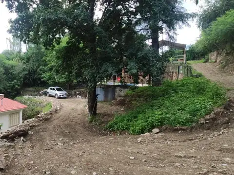 Los Cedros 100
